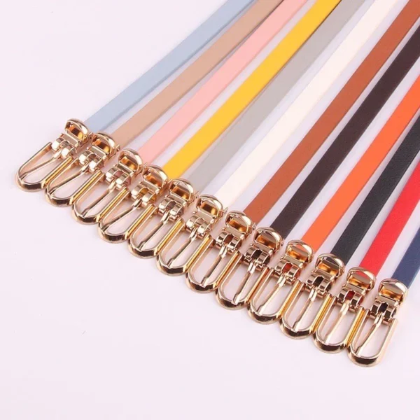 5ef7eb919da874b914ff90a8608b6c99.webp Korean Fashion Woman Leather Casual Waistband Belt