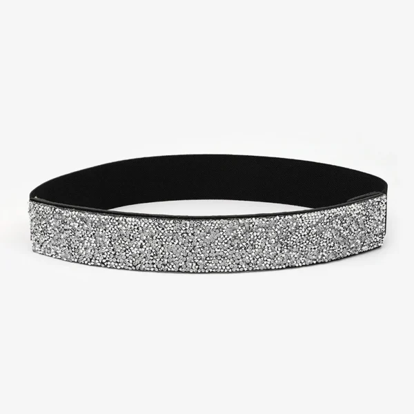 sg-11134201-822yk-mi41jyo2aivb45.webp Women Bling Rhinestone Encrusted full Diamond elastic waistband Versatile Evening Dress Crystal Belt