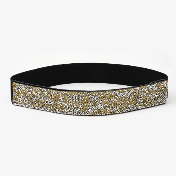 sg-11134201-822z7-mi41jxyvs0e9a1.webp Women Bling Rhinestone Encrusted full Diamond elastic waistband Versatile Evening Dress Crystal Belt